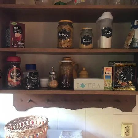 Dolní Vítkov Apartmán *
