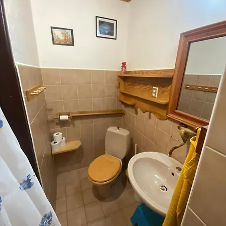 Dolni Vitkov Apartment