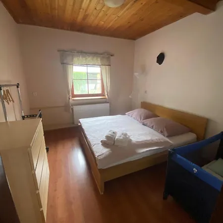 Apartment Dolni Vitkov