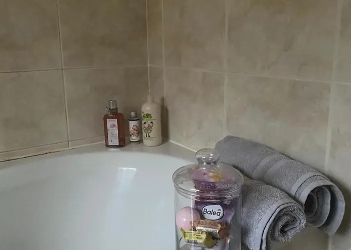 Dolni Vitkov Appartement
