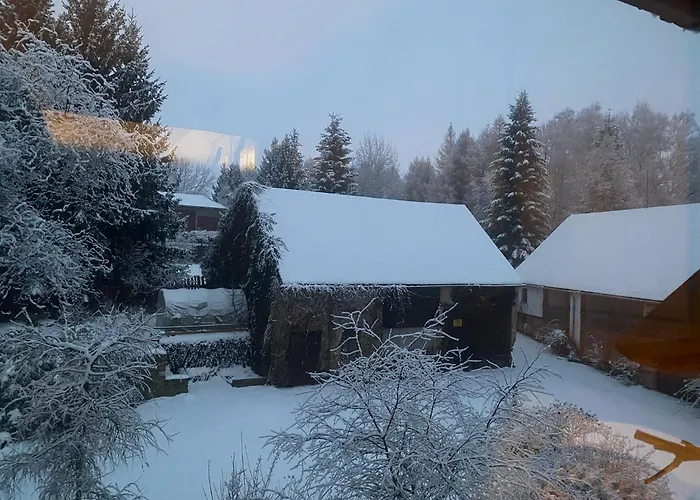 Dolni Vitkov Appartement *