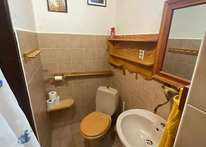 Dolni Vitkov Appartement
