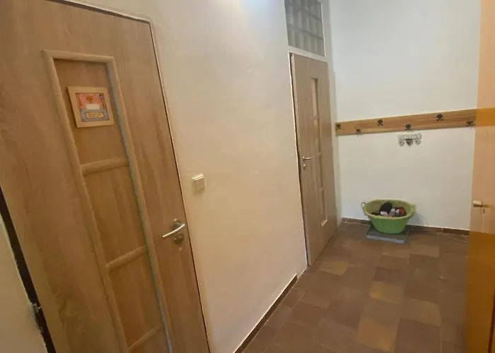 Dolni Vitkov Appartement *