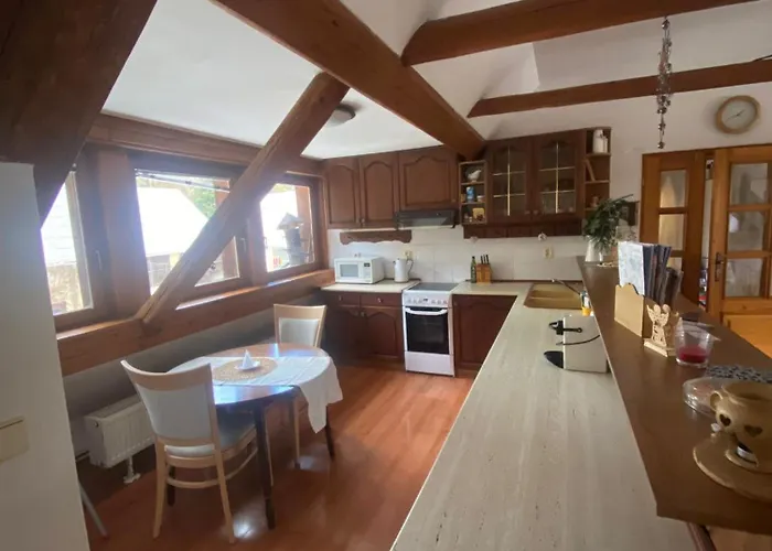 Dolni Vitkov Appartement *